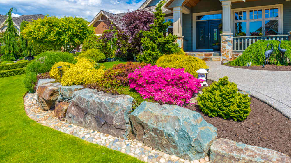 landscaping ideas for front of house